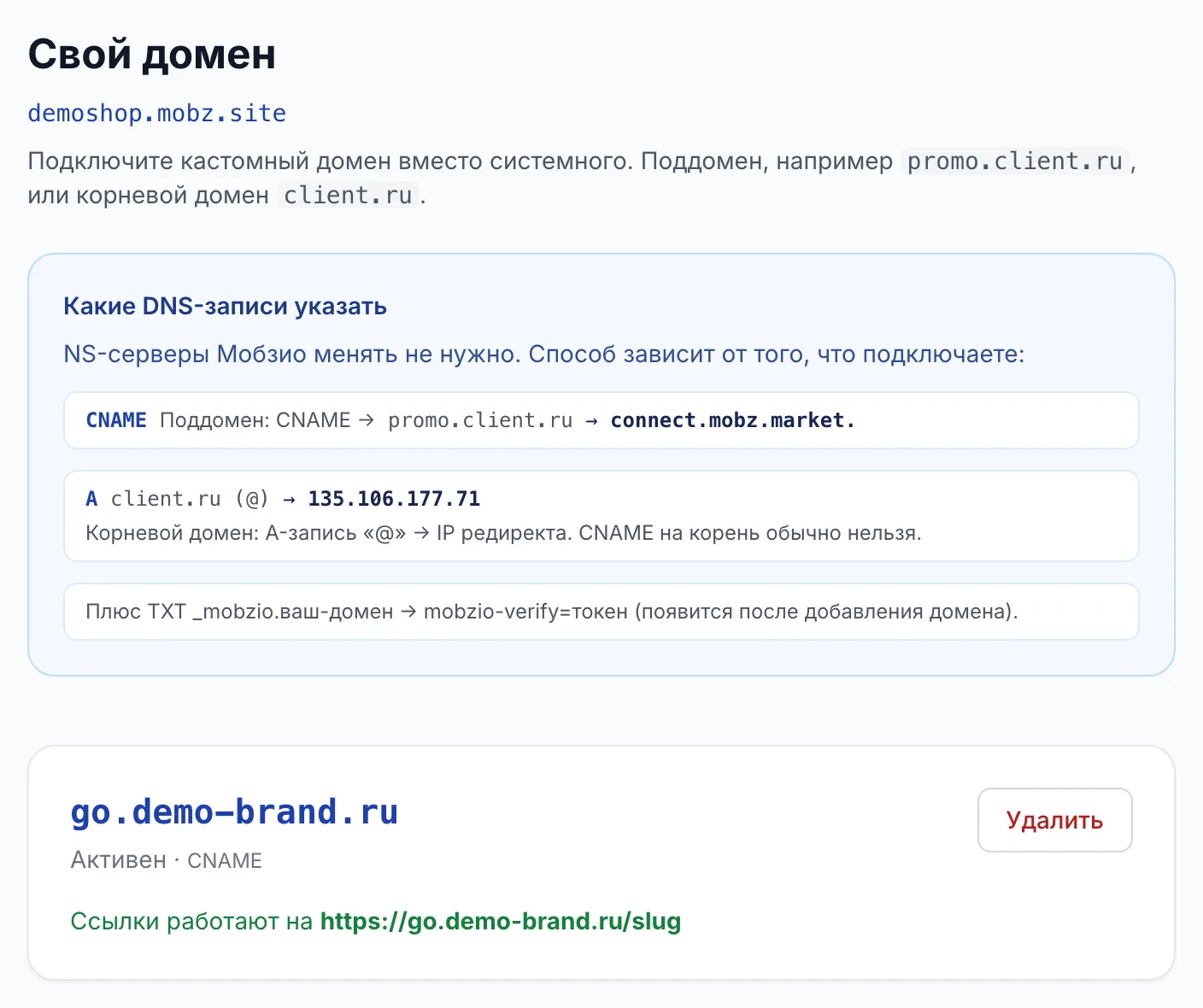 Настройки диплинка, раздел «Свой домен» с подсказкой DNS-записей